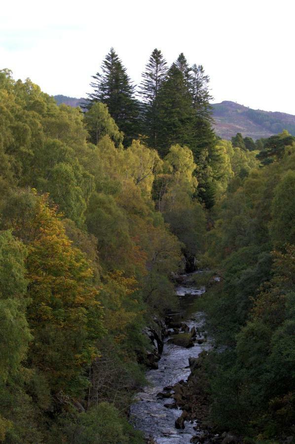 Rosemount Cottage One- Highland Cottage Garve Esterno foto
