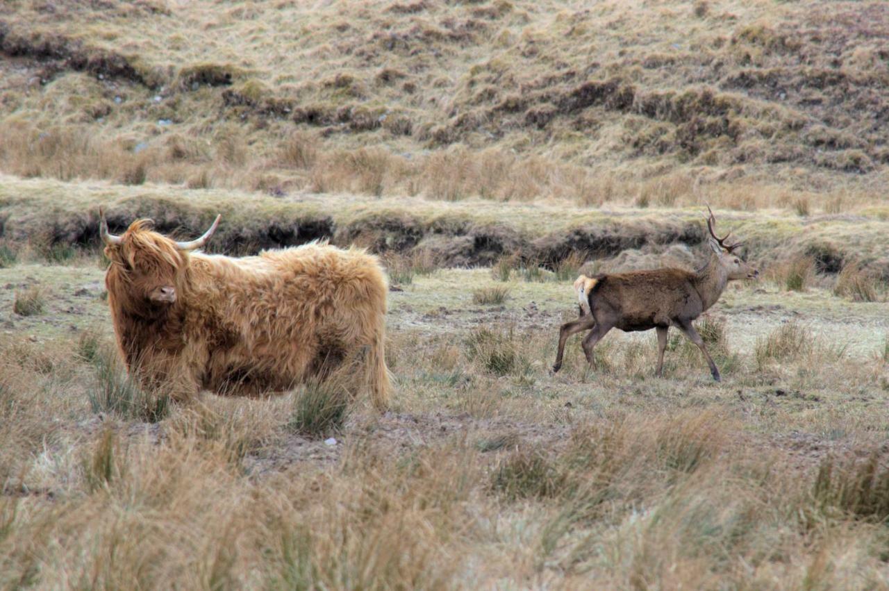 Rosemount Cottage One- Highland Cottage Garve Esterno foto